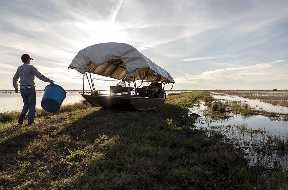 Reneau Mudbugs 210127_7772