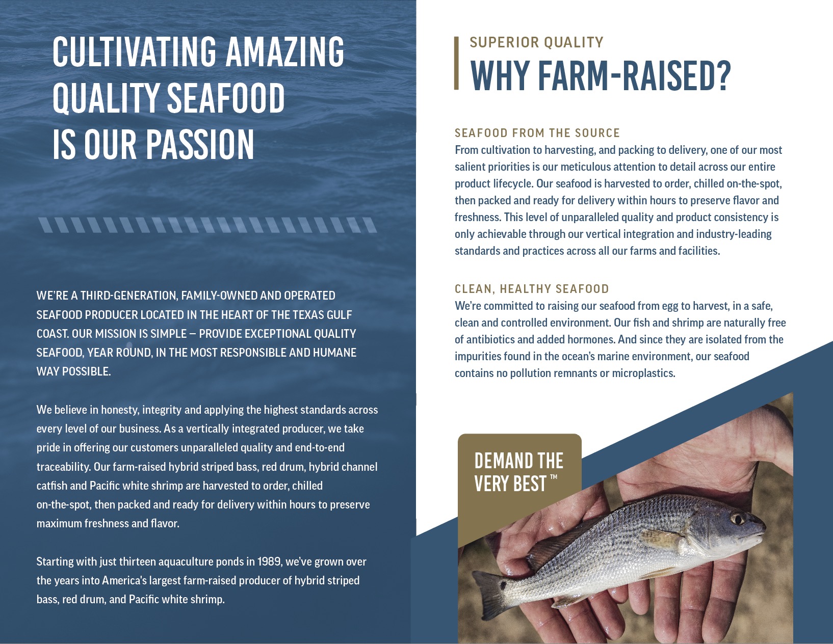 HG brochure pgs2