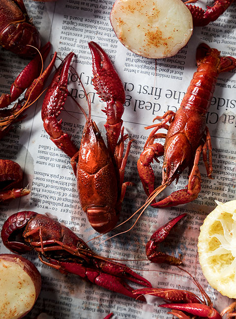 crawfish 190812_3381