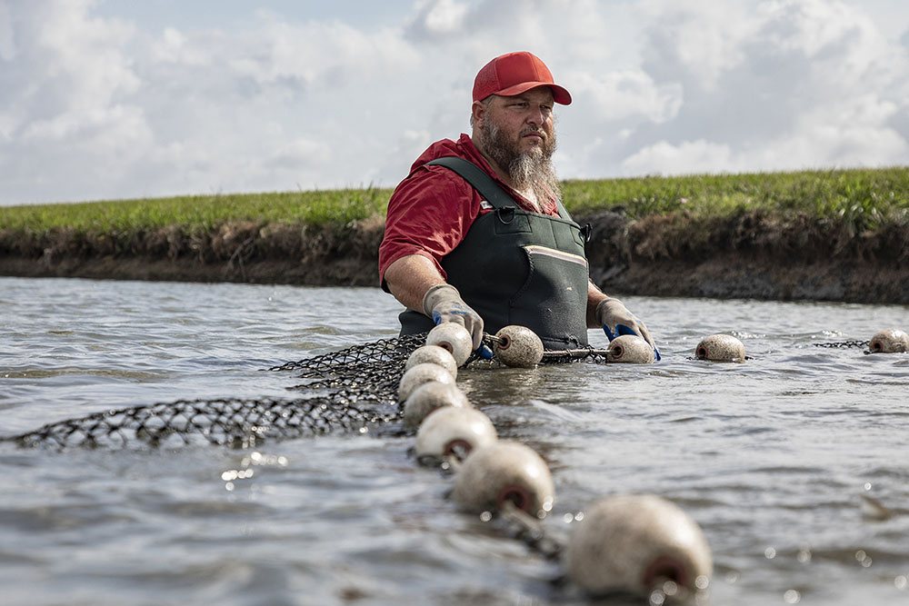 Homegrown Seafood 220424_6220
