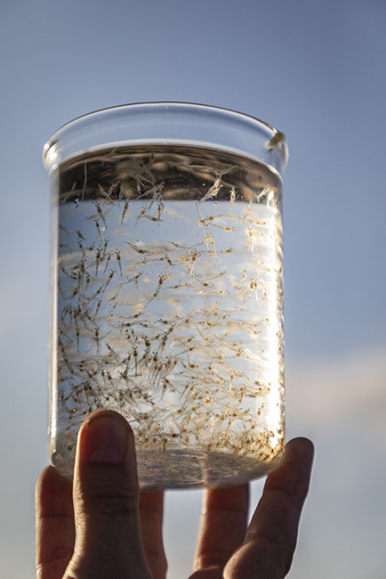 Homegrown Seafood 220426_7898