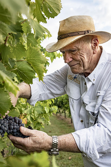 Blue Ostrich Winery 190920_7007